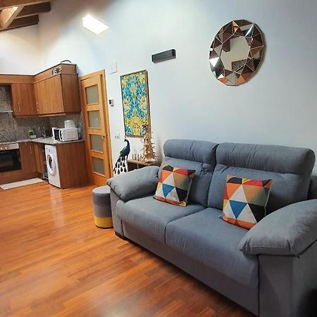 Cal Tranquil Camprodon, Acollidor Atic Al Centre Apartment Exterior photo